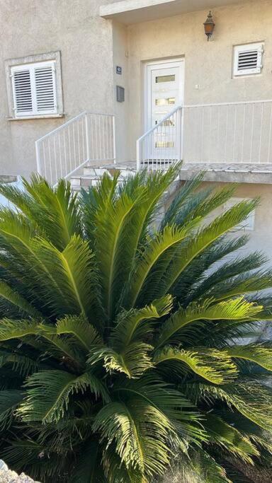 Apartment Biggy Cavtat Esterno foto
